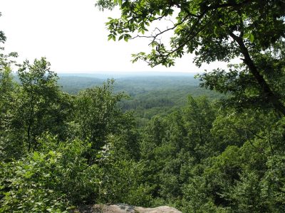 View of forest from a cliff
